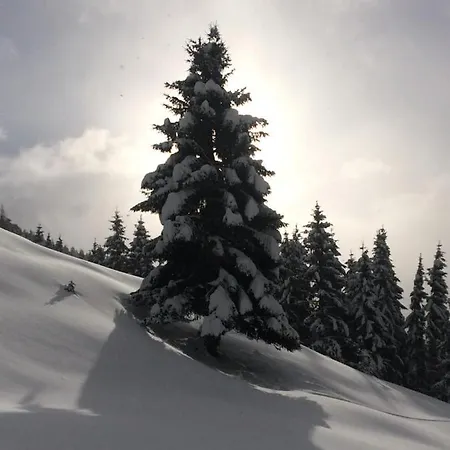 Feroli Apartmán Dienten am Hochkönig