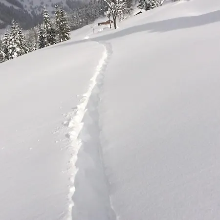 Διαμέρισμα Feroli *