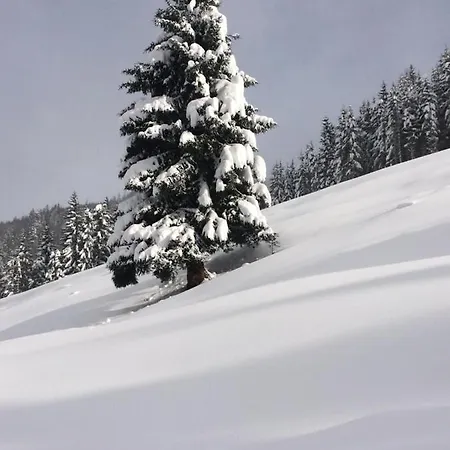 Apartmán Feroli Dienten am Hochkönig