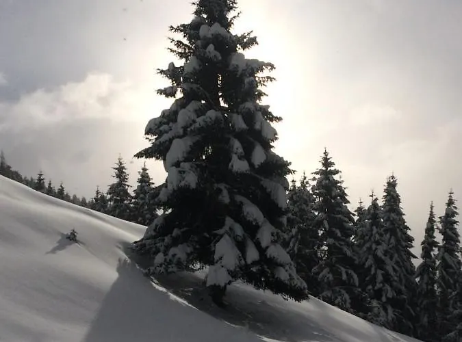 Feroli Appartement Dienten am Hochkönig