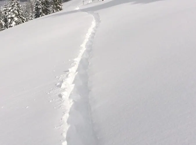 Appartement Feroli *