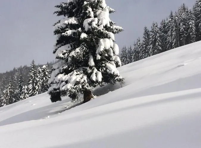 Appartement Feroli Dienten am Hochkönig