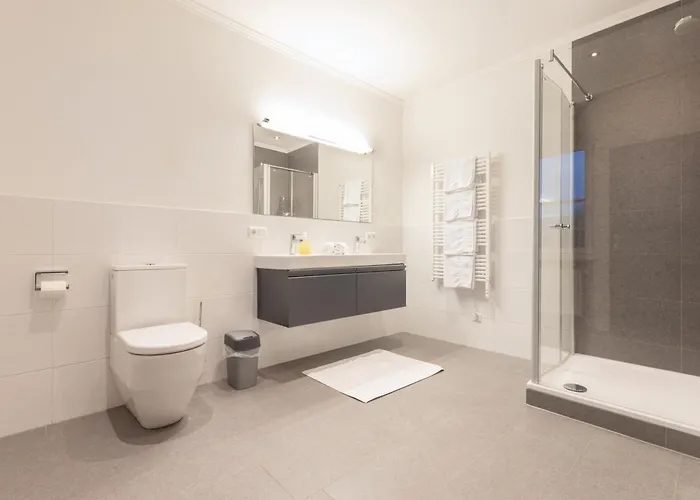 Feroli Appartement Dienten am Hochkönig